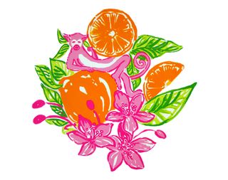 Petal, Citrus, Leaf, Produce, Fruit, Tangerine, Pink, Natural foods, Flowering plant, Orange, 