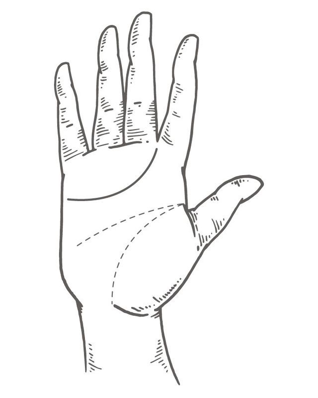 Finger, White, Line art, Hand, Line, Thumb, Arm, Wrist, Design, Gesture, 