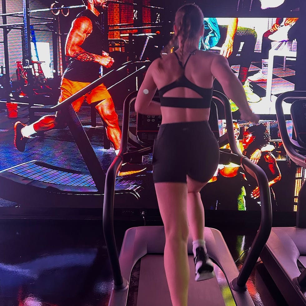 lingo gym