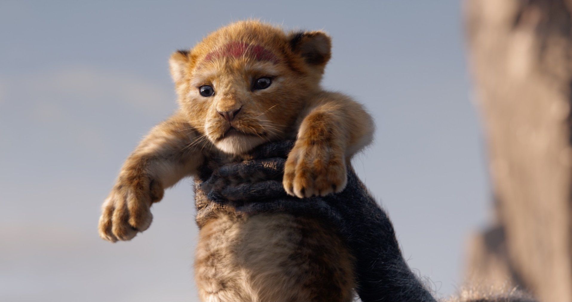 The Lion King Wiki on X: Want to look through high-quality