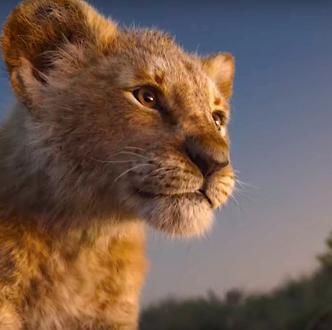 Lion King 2019 Trailer - Beyonce, Seth Rogen Star in the Live ...