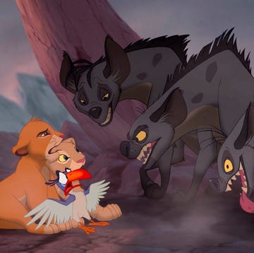 The Lion King, Simba, Nala, The Hyenas