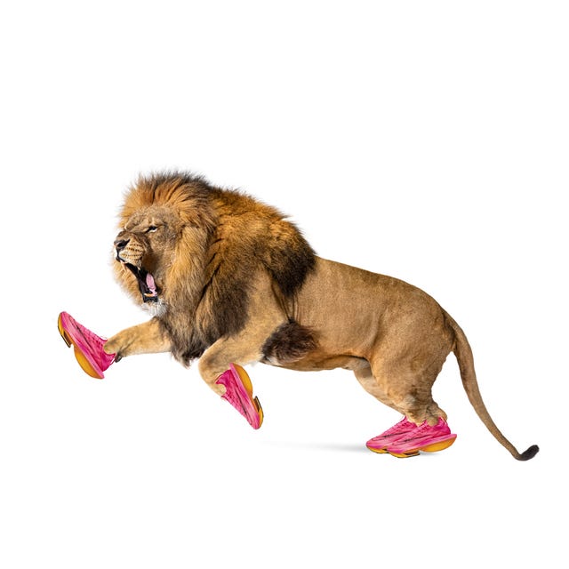 the lion diet
