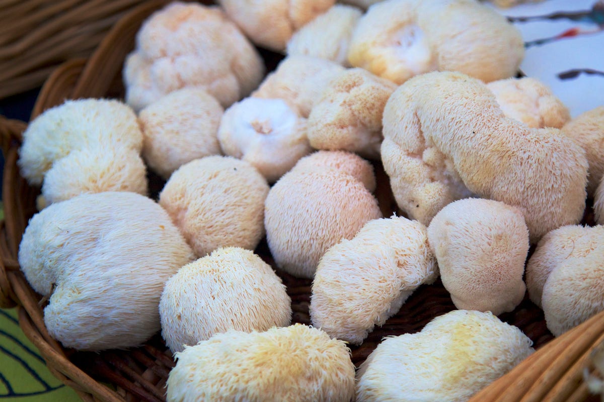 Scientists Think This Trendy Mushroom Supplement Can Age-Proof Your Brain