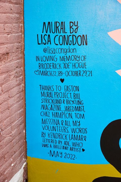 lisa congdon mural in the city of easton pa for ade