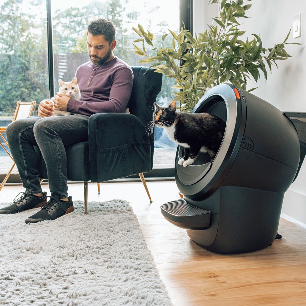 litter robot 4