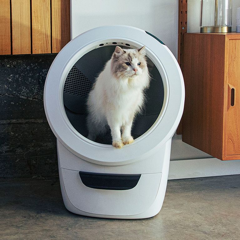 Review The LitterRobot 4 Is Here, and My Life Has Never Been Better