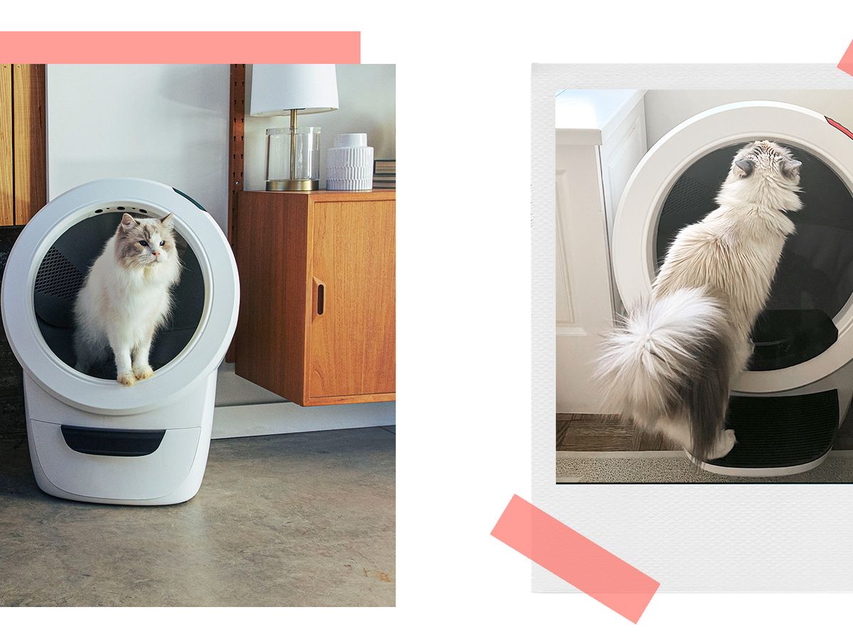 Væsen pad sanger Review: The Litter-Robot 4 Is Here, and My Life Has Never Been Better