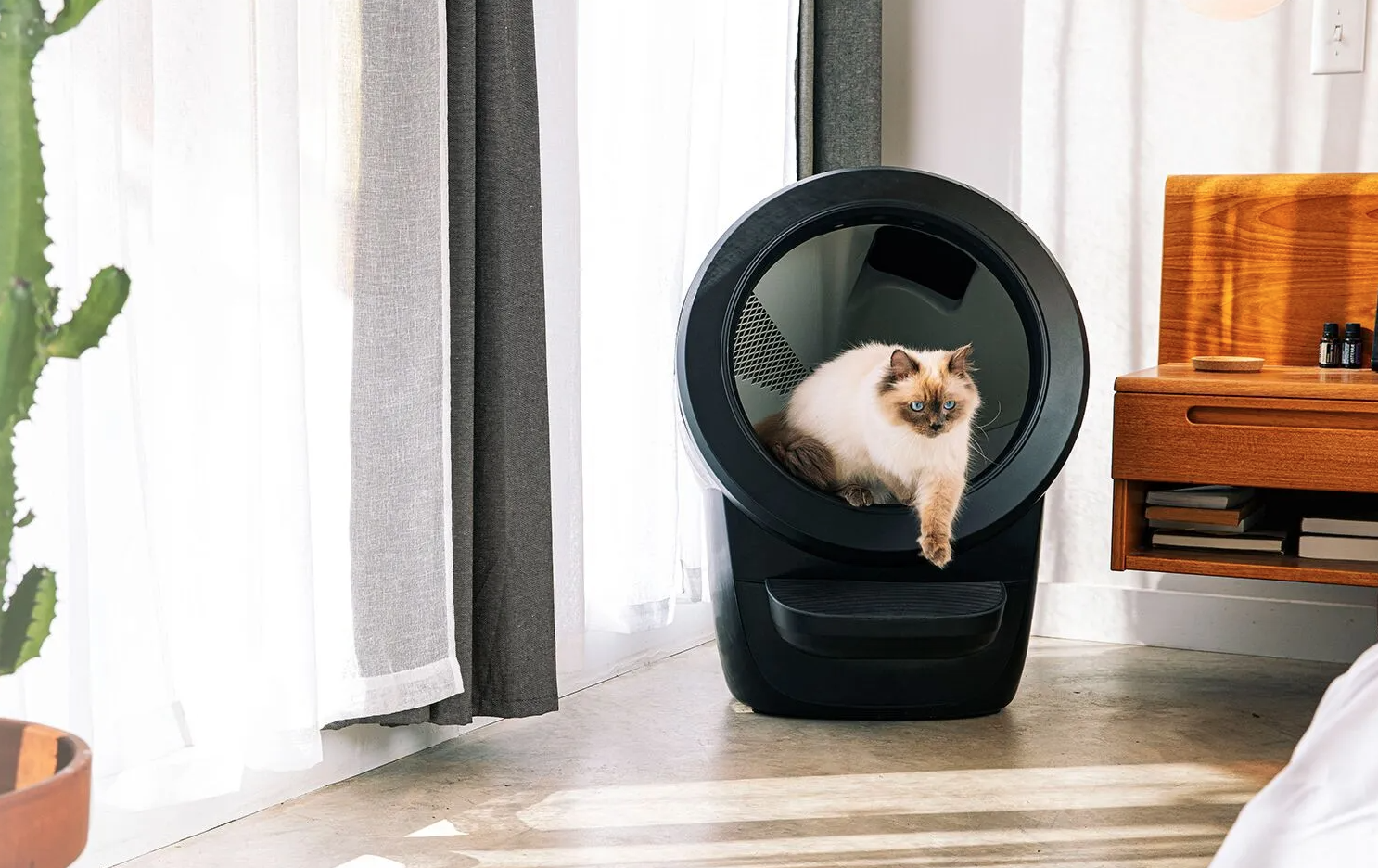Citron mosaik Jobtilbud We Reviewed the Litter-Robot 4 to See If It's Worth the Hype
