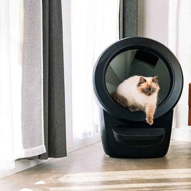 https://hips.hearstapps.com/hmg-prod/images/litter-robot-4-review-1652300992.png?crop=0.631xw:1.00xh;0.310xw,0&resize=640:*