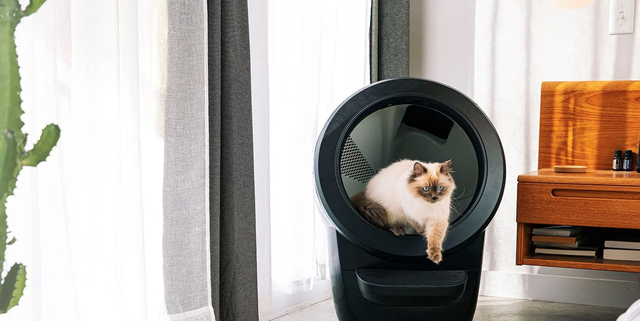 This extra-large mat is the only one you'll ever need under a litter box
