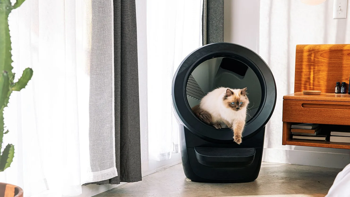 handle dvs. Have en picnic We Reviewed the Litter-Robot 4 to See If It's Worth the Hype