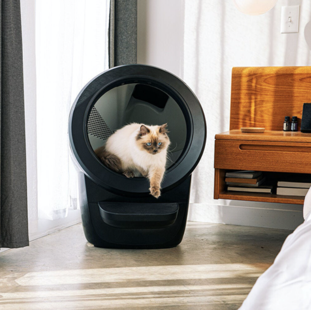Litter-Robot 4 Review 2023: Is It Worth $700?