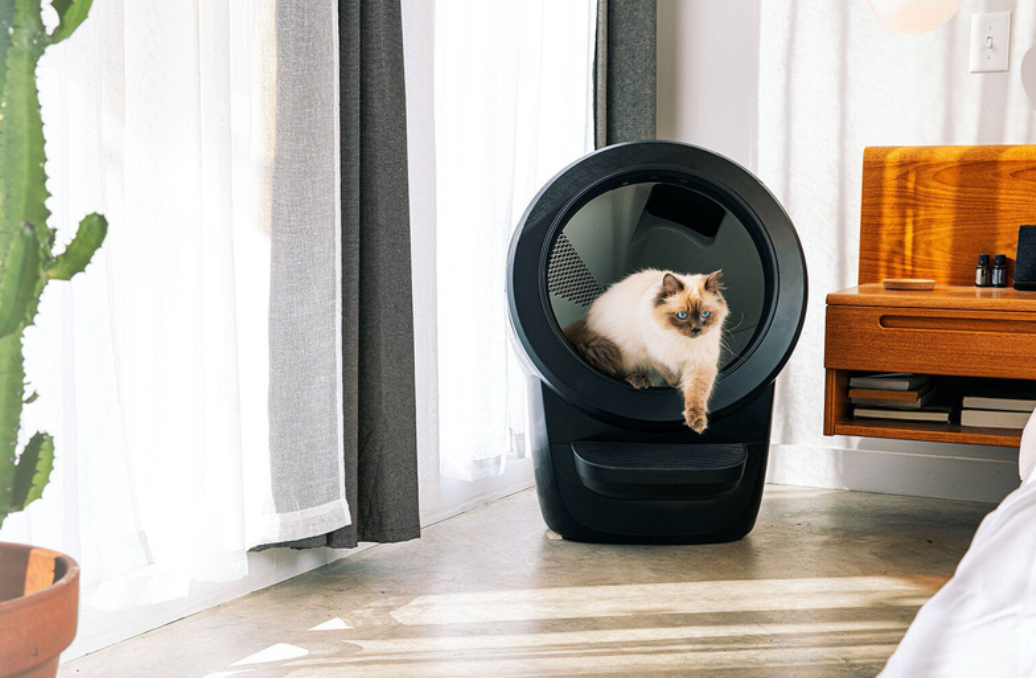 Litter Robot 4 Review 2024 Tested in a Small Home With 2 Cats