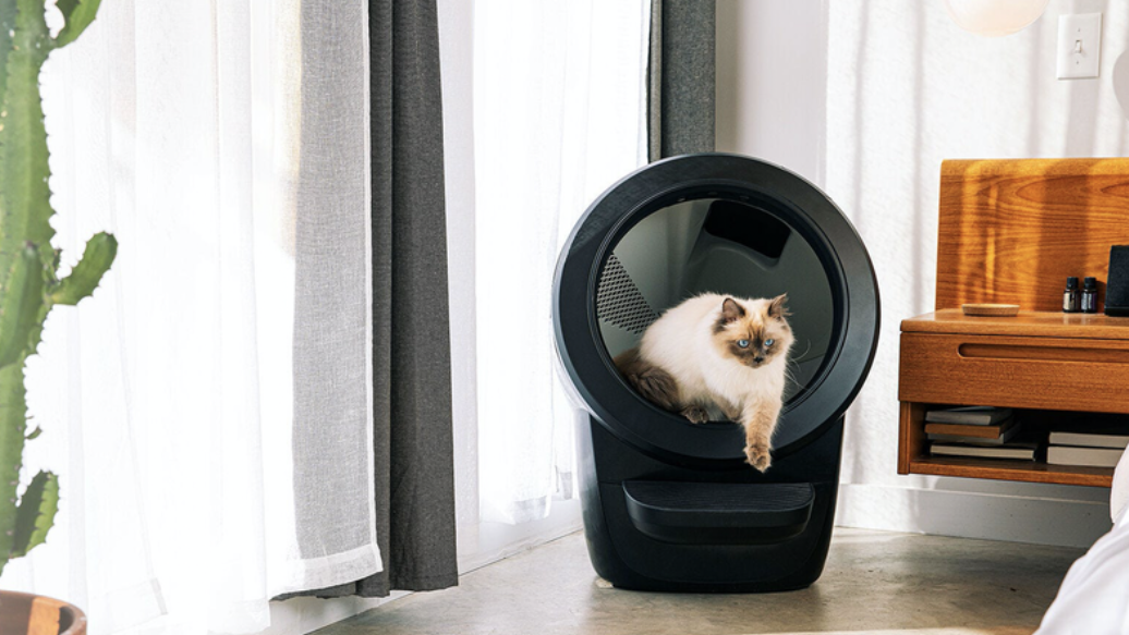 Litter-Robot 4 Review Is It Worth $700?