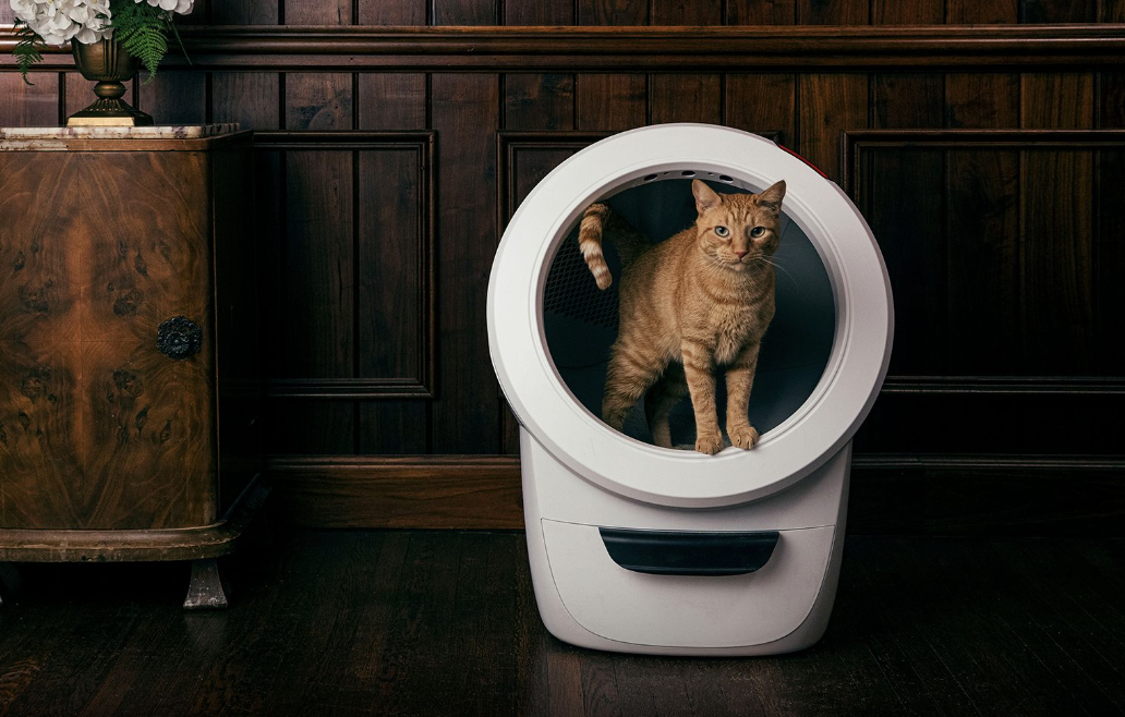 https://hips.hearstapps.com/hmg-prod/images/litter-robot-4-review-ginger-cat-using-the-litter-robot-4-643874916854a.png