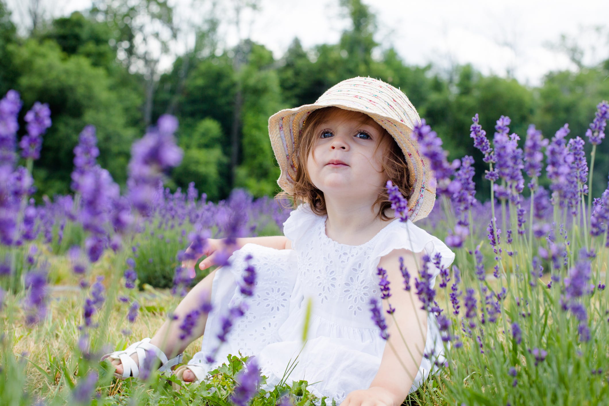 45 Best Flower Names for Girls and Boys - Sweet Flower Baby Names