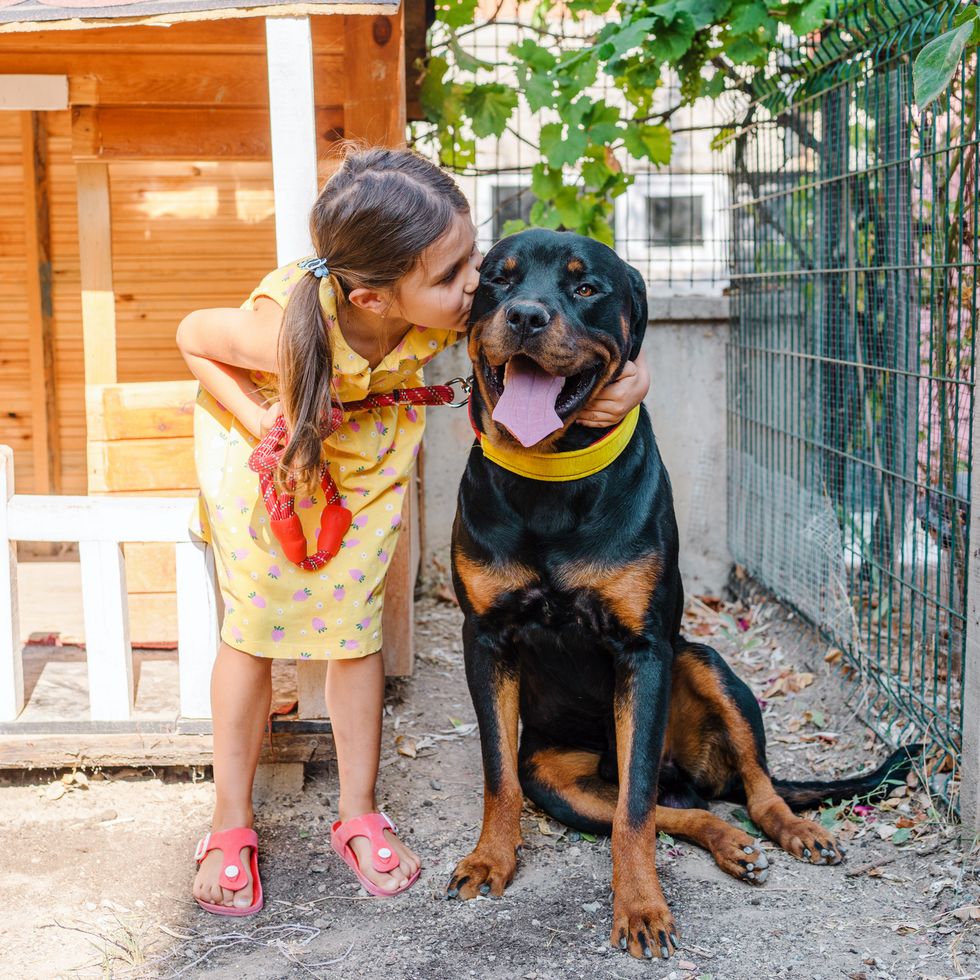 little girl kissing her dog
