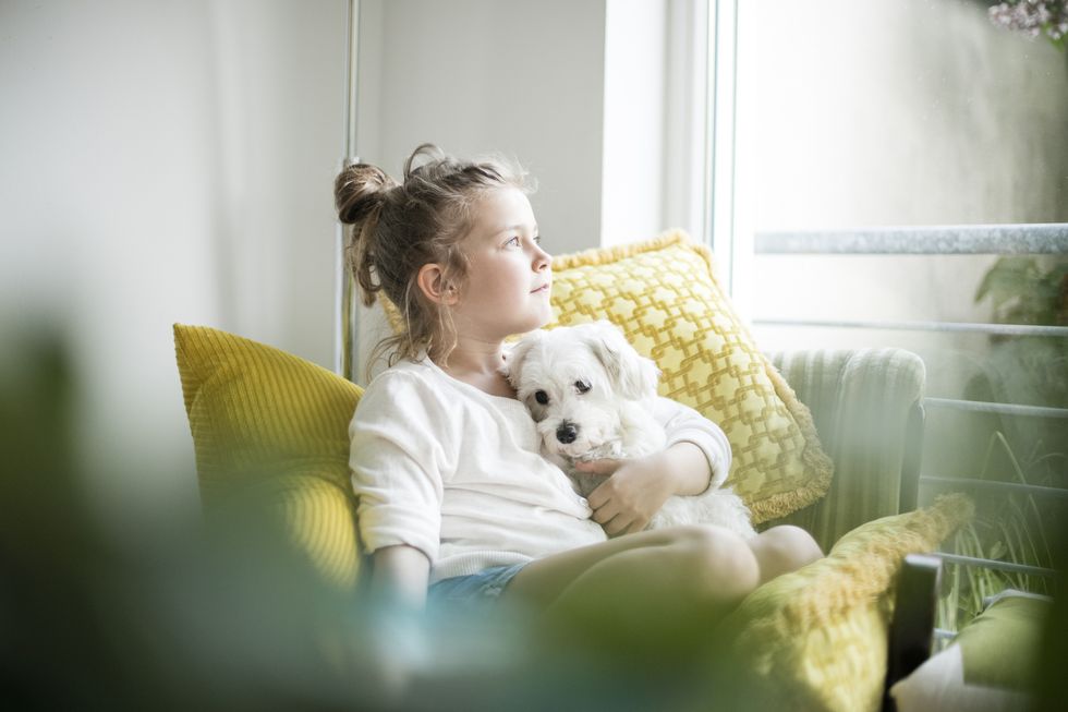 little girl sitting on armchair at home cuddling with her dog