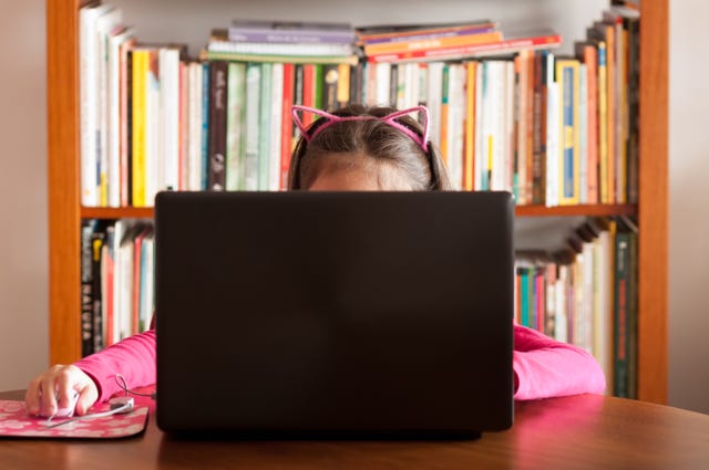 Little girl using laptop at home