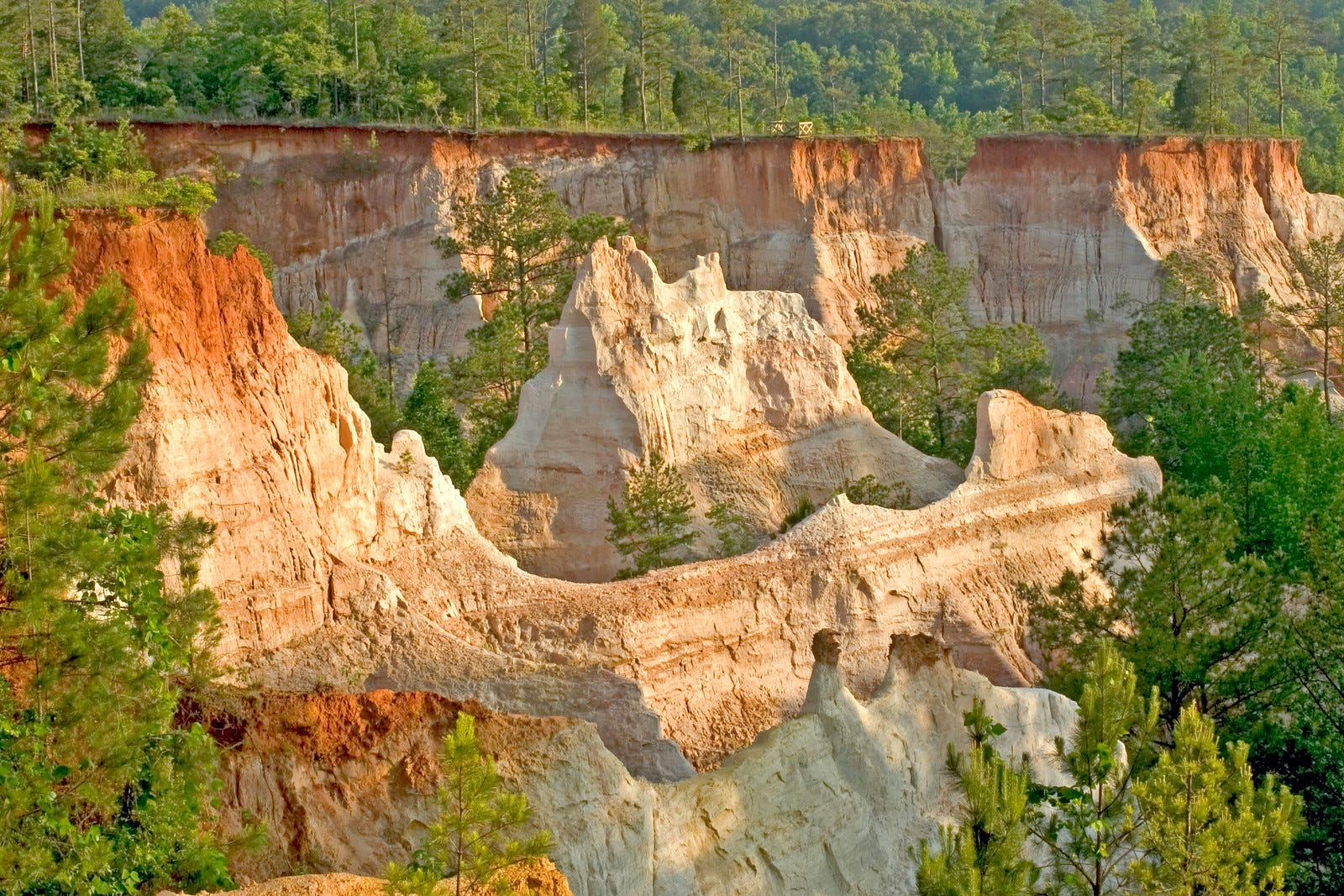 are dogs allowed at providence canyon