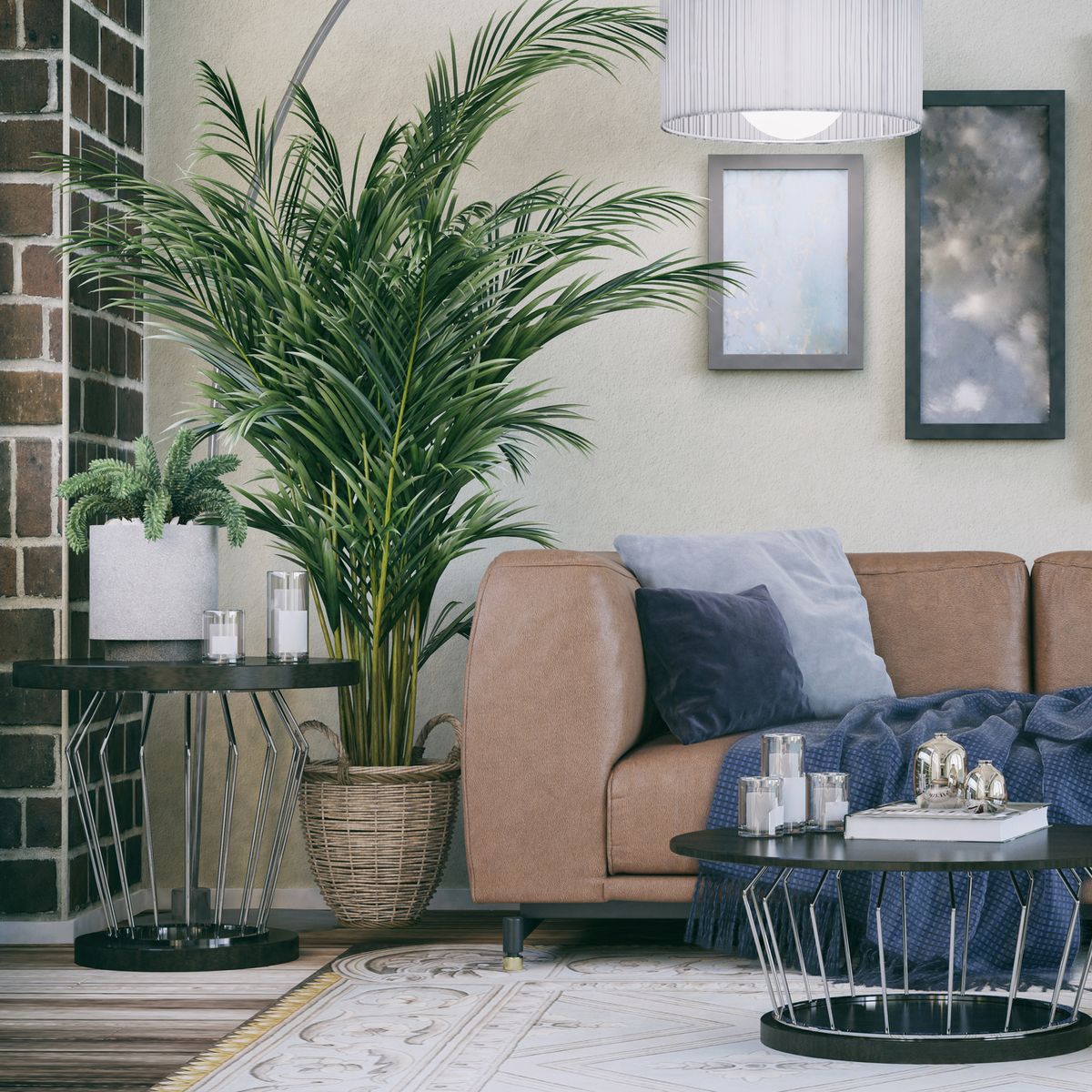 15 Best Living Room Plants - Living Room Indoor Plants To Buy Now
