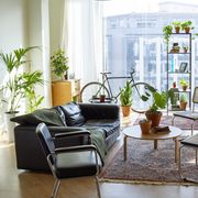 living room with leather sofa and large plants