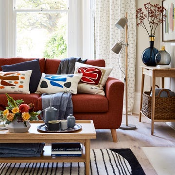 living room bold with bird print cushions and a block stripe rug