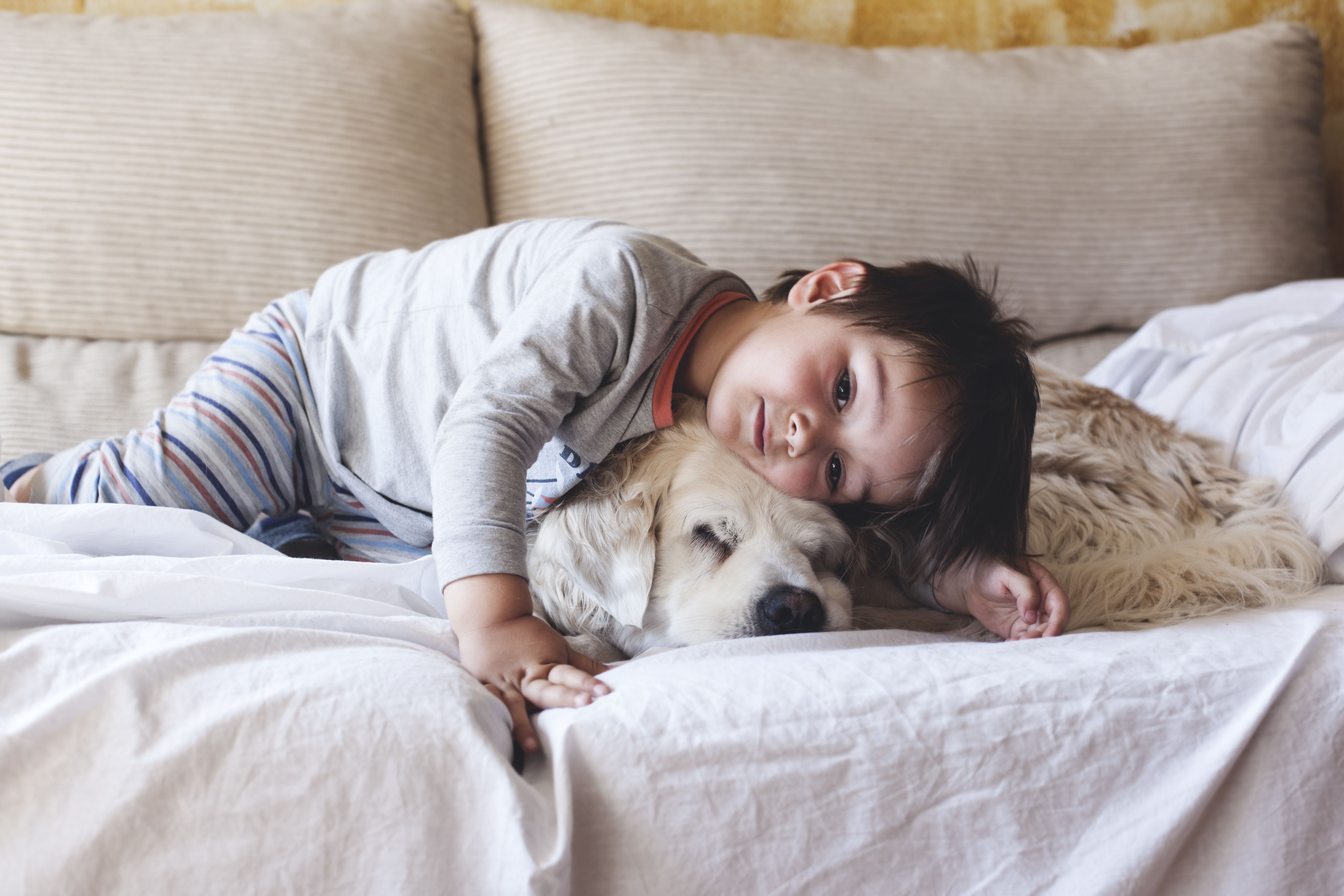 Curiosidades sobre los perros pequeños que te ayudarán a saber cómo cuidar  de ellos