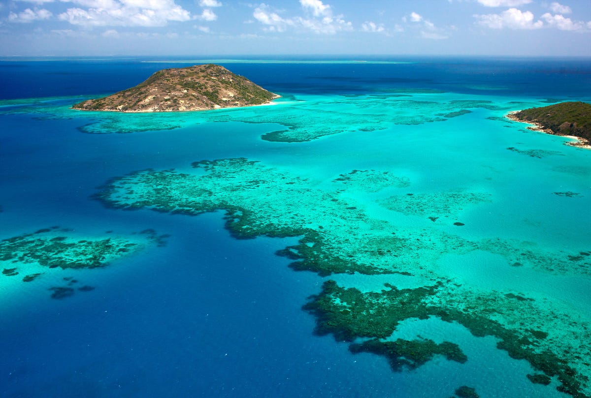 Geniet urenlang van het koraalrif rond Lizard Island waar zich een van onze Unique Lodges of the World bevindt