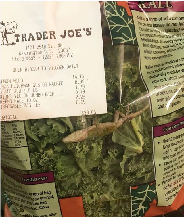 Plant, Leaf, Vegetarian food, Food, 