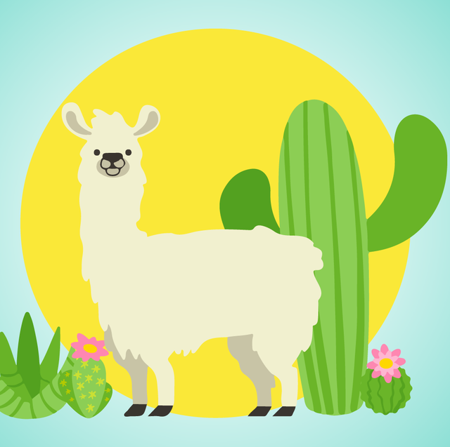 Llama, Green, Alpaca, Camelid, Cartoon, Livestock, Grass, Illustration, Wildlife, Adaptation, 