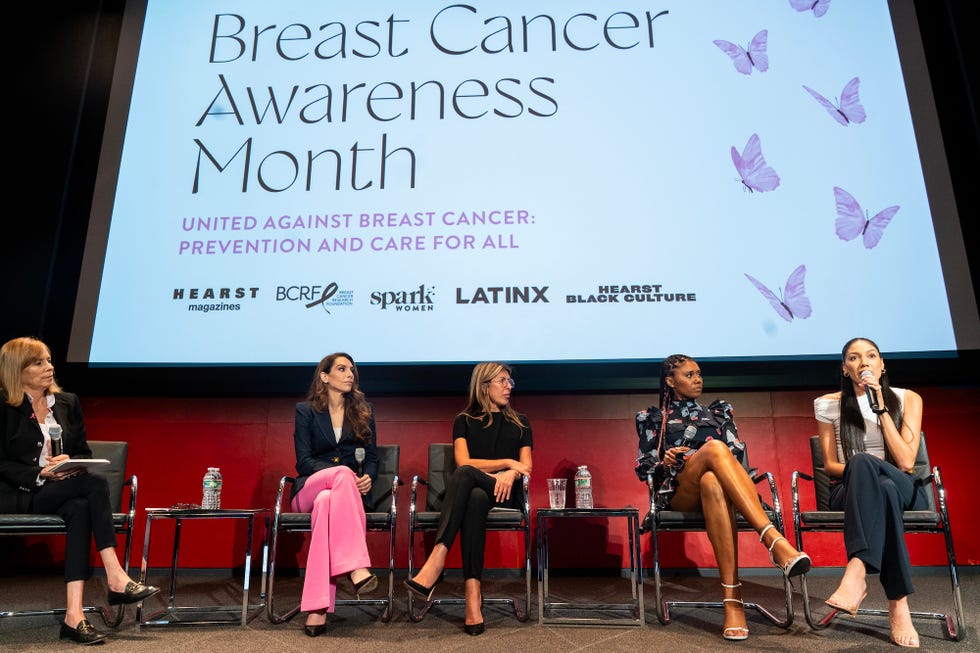 a panel on breast cancer