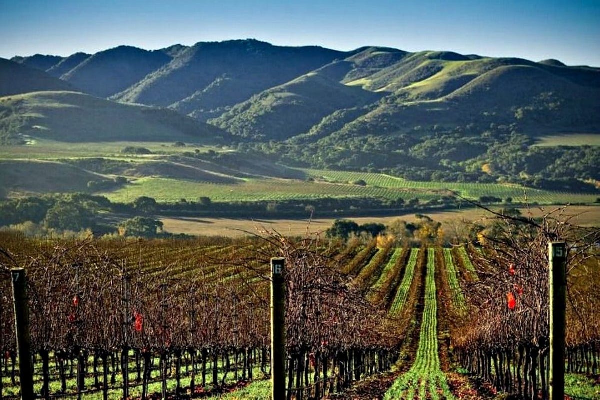 Where to Eat, Drink, and Stay in Southern California’s Santa Ynez Valley