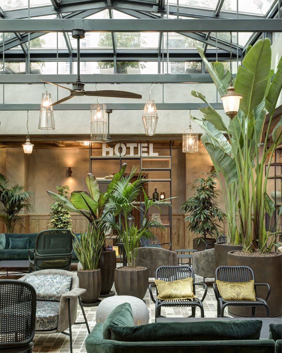 atrium hotel lobby with plants