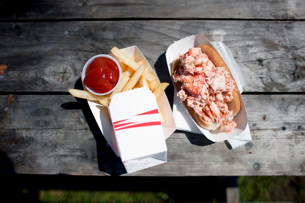 best state fair food every state arizona lobster roll and french fries, high angle view