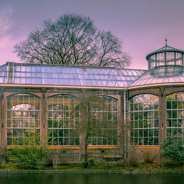 de historische architectuur van de botanische binnentuin van de hortus in amsterdam