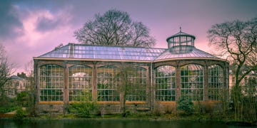 de historische architectuur van de botanische binnentuin van de hortus in amsterdam