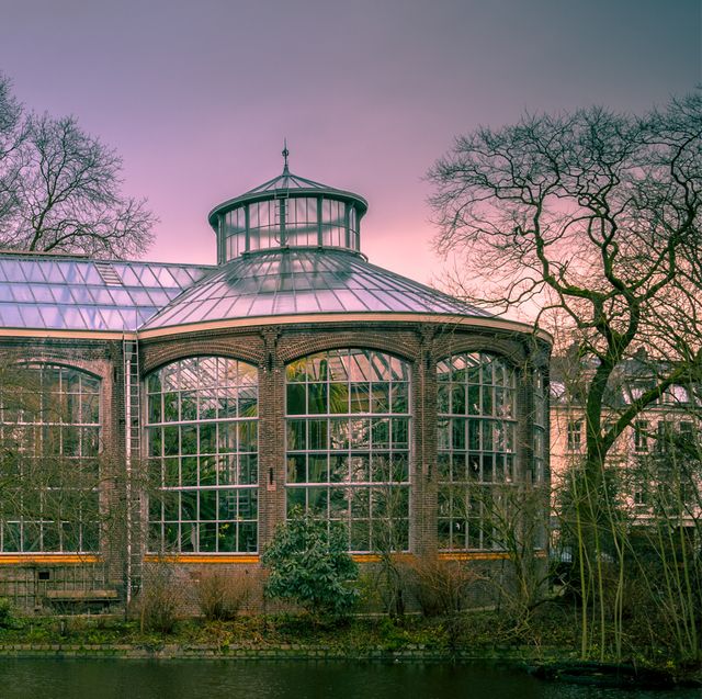 de historische architectuur van de botanische binnentuin van de hortus in amsterdam