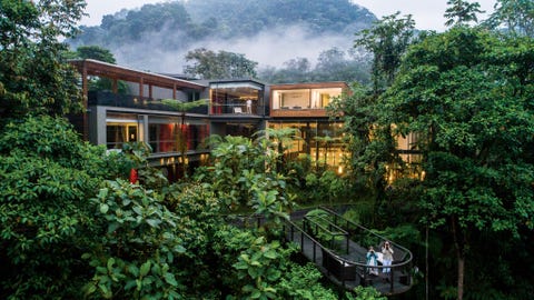 ECUADORIn de Sky Bike van de Mashpi Lodge kunnen passagiers door de boomkruinen van het nevelwoud van Choc zweven Op het terrein van deze National Geographic Unique Lodge worden lezingen gegeven door exhouthakkers die zich nu voor het behoud van het bos inzetten Andando Tours biedt tijdens de gezinsvriendelijke wandelroutes avonturen met meerdere sportieve opties aan