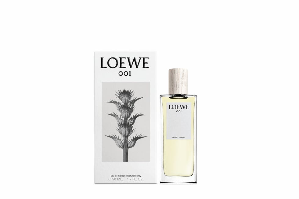 Fragancias masculinas para regalar