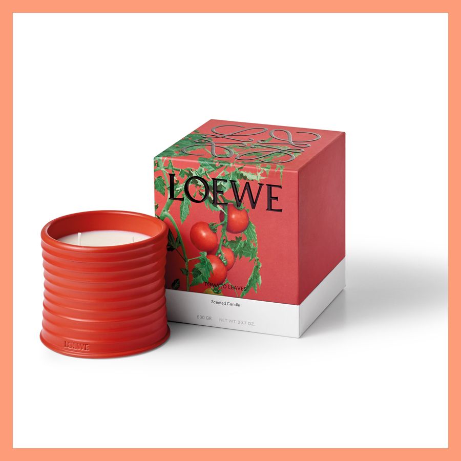 LOEWE トマトリーフ キャンドル（おうち時間が楽しくなる