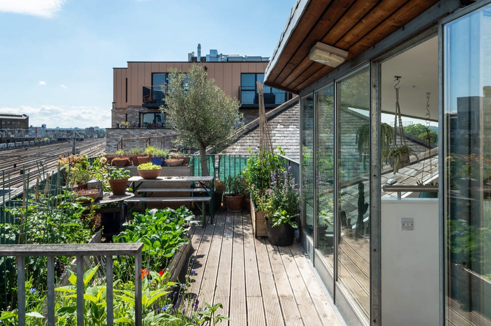 azotea con plantas de exterior
