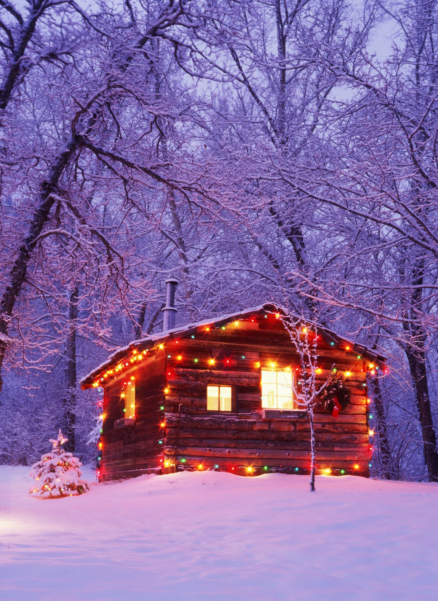 https://hips.hearstapps.com/hmg-prod/images/log-cabin-exterior-decorated-with-christmas-lights-royalty-free-image-1701702998.jpg