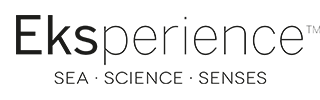 Eksperience Logo