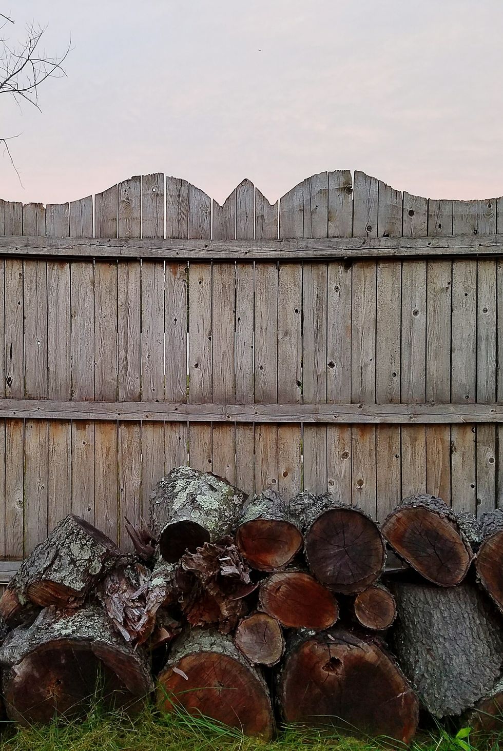 Logs In Yard By Fence Against Clear Sky During Sunset