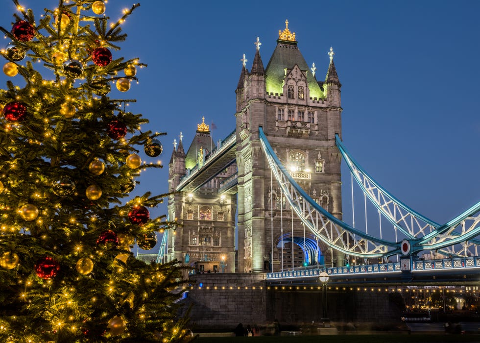 Christmas Tree and Tower Bridge at Night, London, UK christmas tree and tower bridge at night, london, uk
