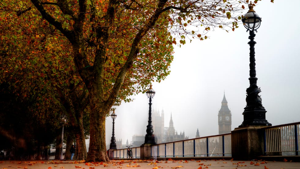 london southbank in foggy autumn with big ben view