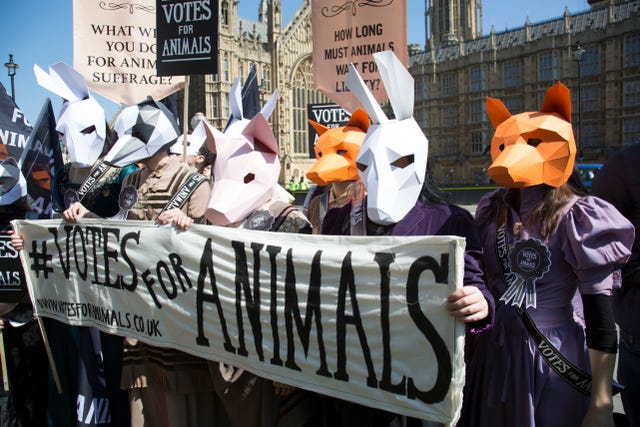 UK - Animal welfare - Votes for Animals General Election demonstration