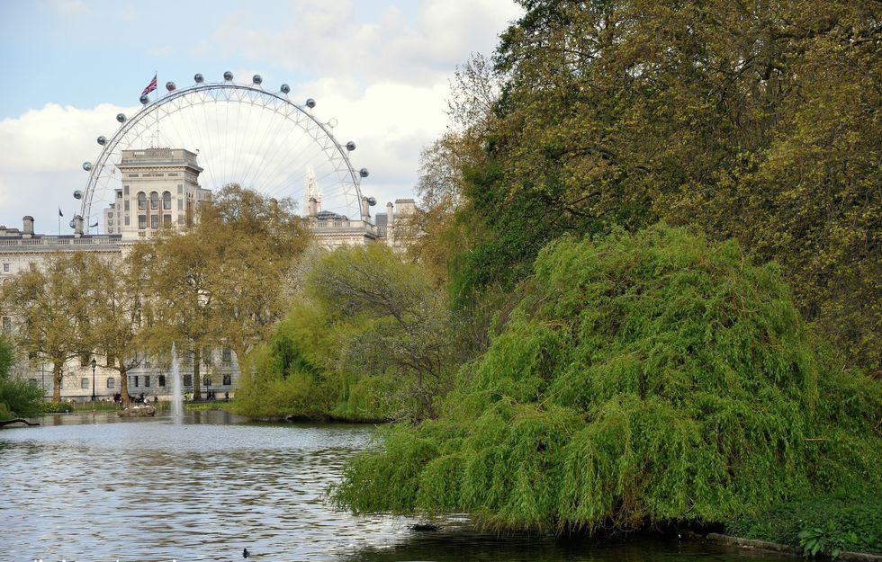 Water, Ferris wheel, River, Tree, Bank, Natural landscape, Waterway, Tourist attraction, Watercourse, Sky, 